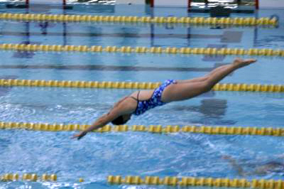 A swimmer dives into the water in a pool with lane dividers