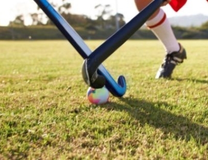 two field hockey sticks trying to hit the ball