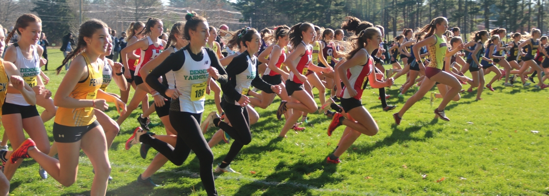 A large group of cross country runners at the beginning of their competitive run